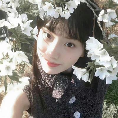 五月槐花香